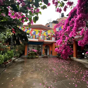 Sun Rise Kathmandu